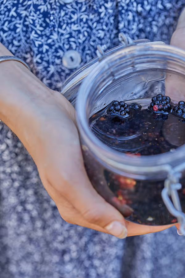 POLITIKENS BOG OM KRYDDERSNAPS // POLITIKENS FORLAG // ANNE HJARNØE //BROMBÆR