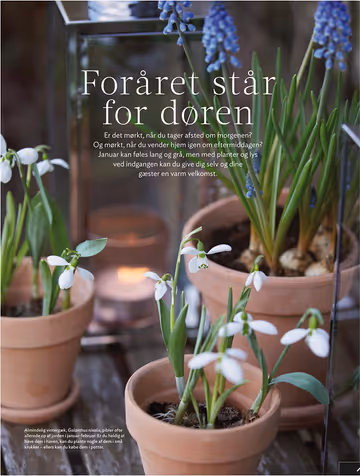 FORÅRET STÅR FOR DØREN // ISABELLAS NR. 10 2022