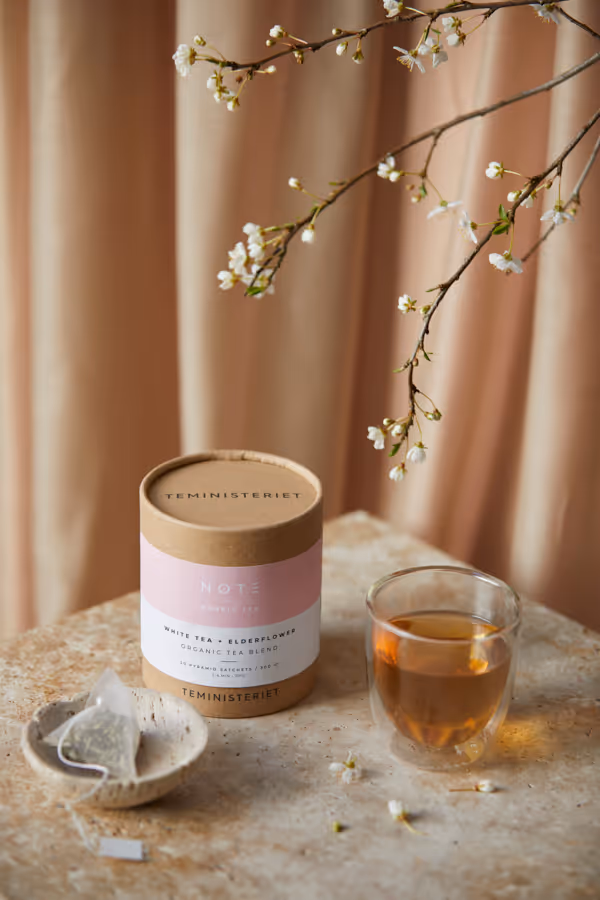 TEMINISTERIET 2024 // 1