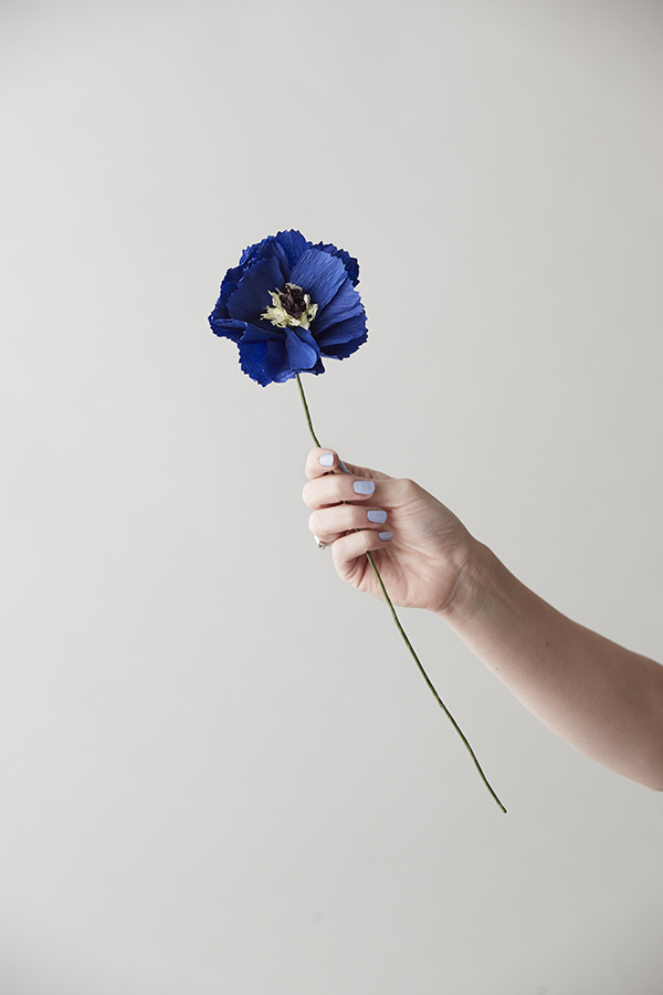 STUDIO ABOUT // FLOWERS